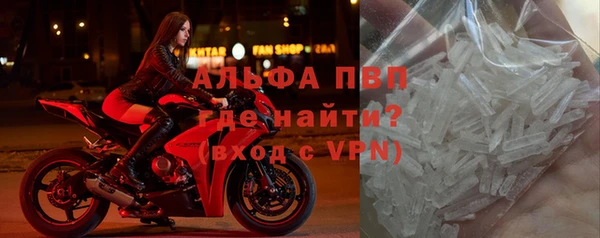 индика Переславль-Залесский