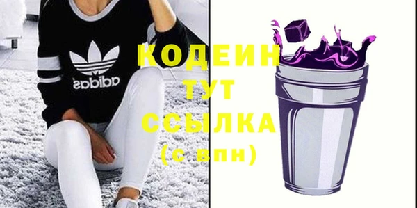 индика Переславль-Залесский
