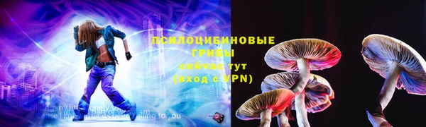 индика Переславль-Залесский