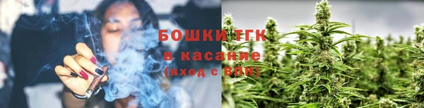 меф Пересвет
