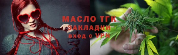 индика Переславль-Залесский
