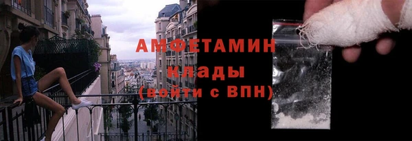ПСИЛОЦИБИНОВЫЕ ГРИБЫ Осинники