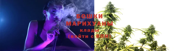 индика Переславль-Залесский