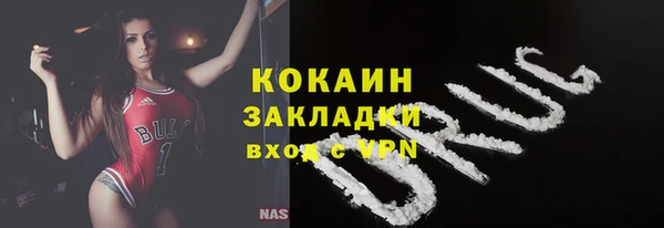 индика Переславль-Залесский