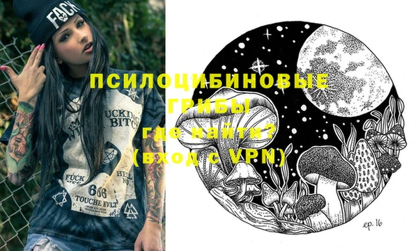 меф Пересвет