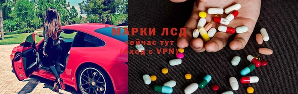 ПСИЛОЦИБИНОВЫЕ ГРИБЫ Осинники