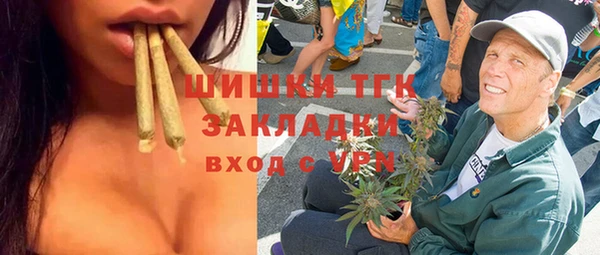 индика Переславль-Залесский