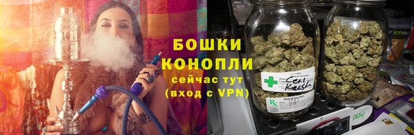 ПСИЛОЦИБИНОВЫЕ ГРИБЫ Осинники
