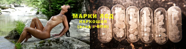 индика Переславль-Залесский