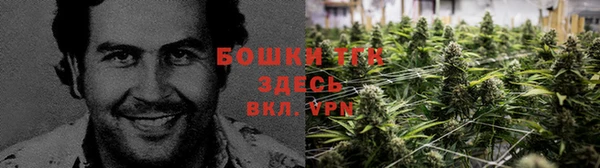 ГАЛЛЮЦИНОГЕННЫЕ ГРИБЫ Осташков